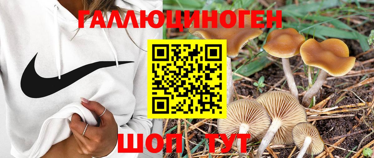 Галлюциногенные грибы прущие грибы Назрань